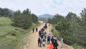 Kıranyurt'ta baharın büyüleyici görüntüsü 